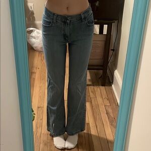 Wrangler Women's Blue Jeans